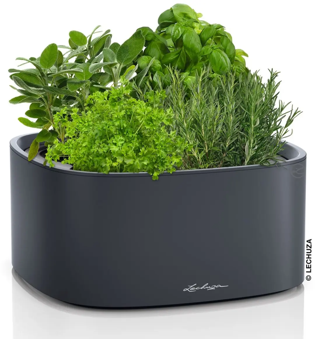 Lechuza PILA Color STICK Plantenbak 35cm - Leisteengrijs - afbeelding 2 van 6