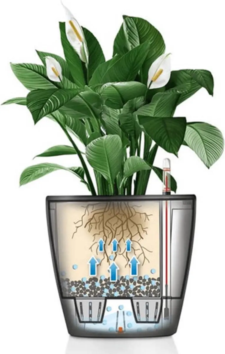 Lechuza Classico Premium LS 21 Plantenbak - 21cm - afbeelding 6 van 6