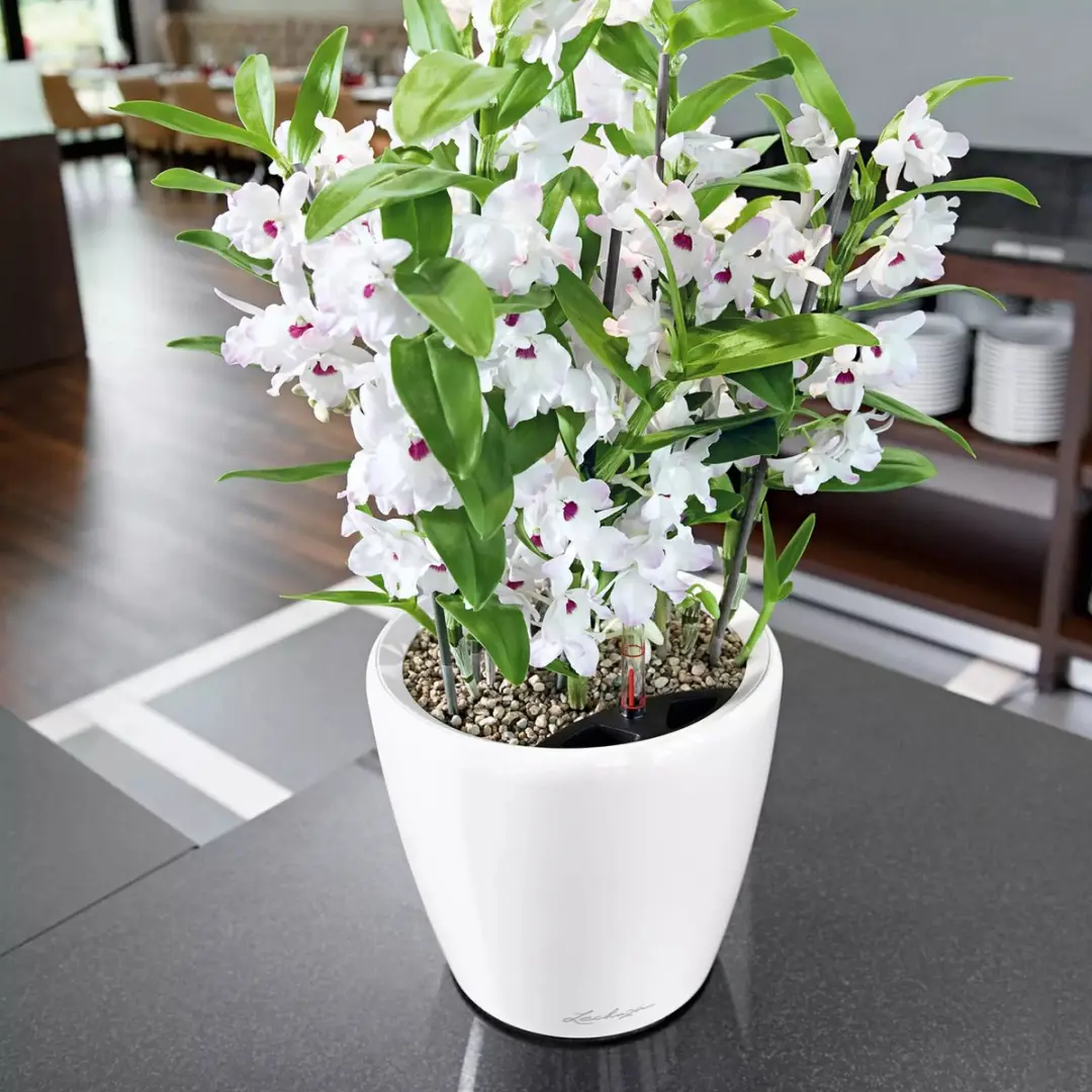 Lechuza Classico Premium LS 21 Plantenbak - Zwart Hoogglans - afbeelding 6 van 6