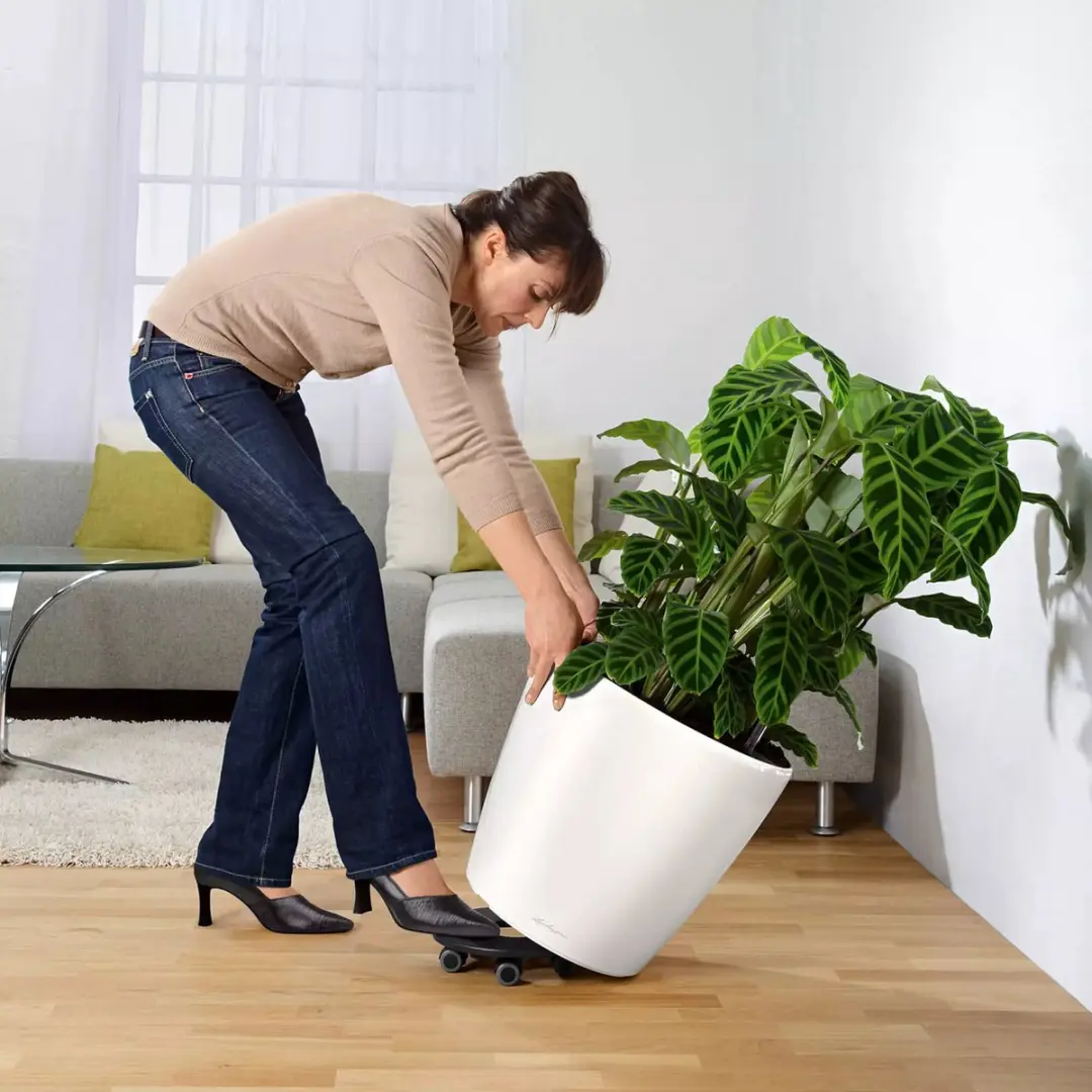 Lechuza Classico Premium LS 43 Plantenbak - 28l - Zwart Hoogglans - afbeelding 4 van 6