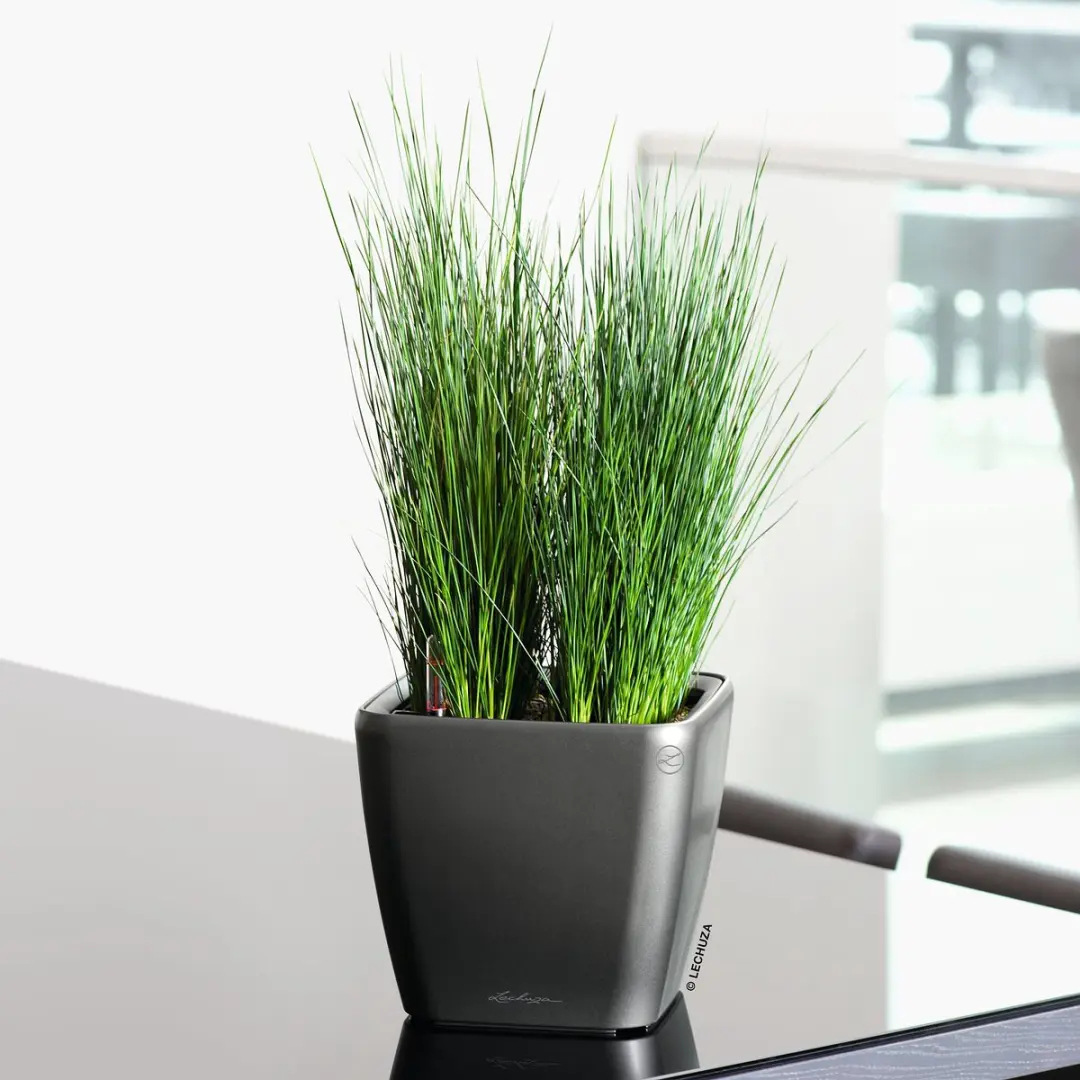 Lechuza Quadro Premium LS 21 Plantenbak - 4 l - afbeelding 2 van 6