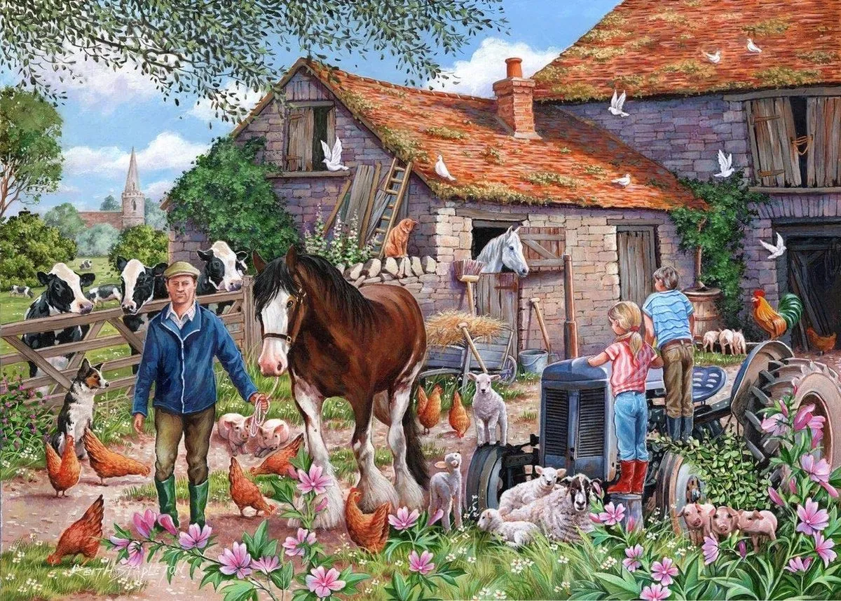 House Of Puzzles Macdonalds Farm Puzzel 500 Stuks