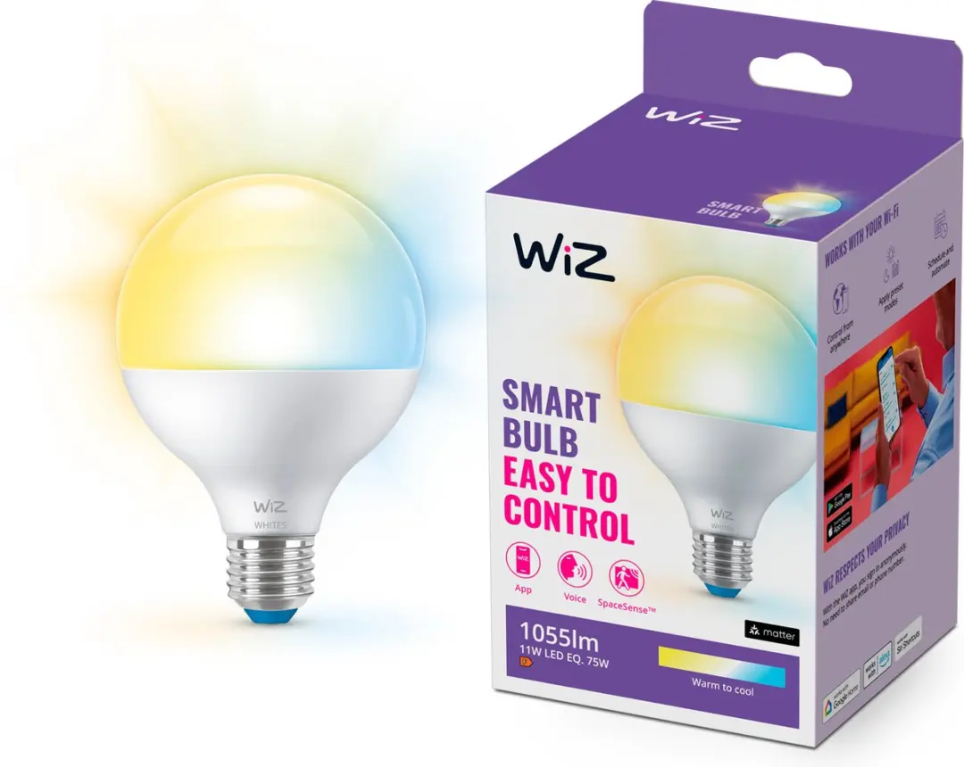 WiZ 929003782122 Slimme LED Globe Lamp E27