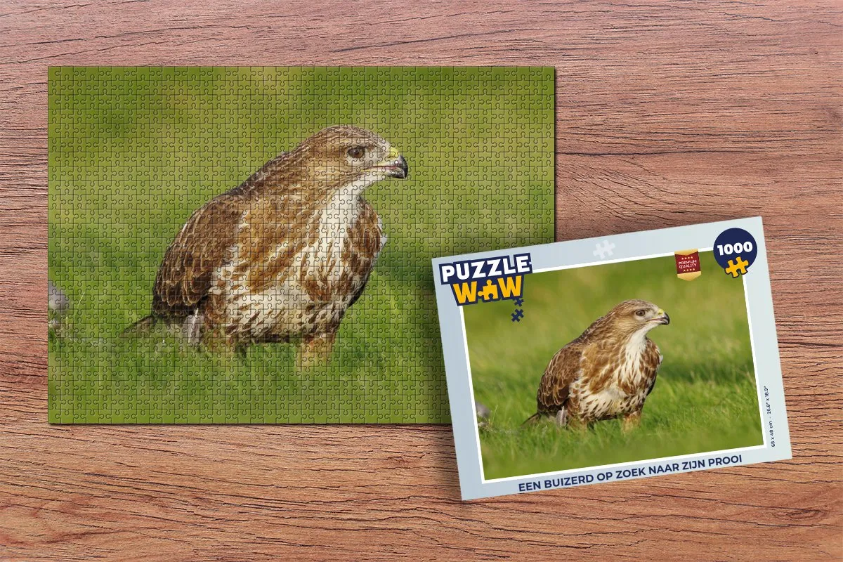 PuzzleWow Legpuzzel Een buizerd op zoek naar zijn prooi 1000 Stuks - Multicolor