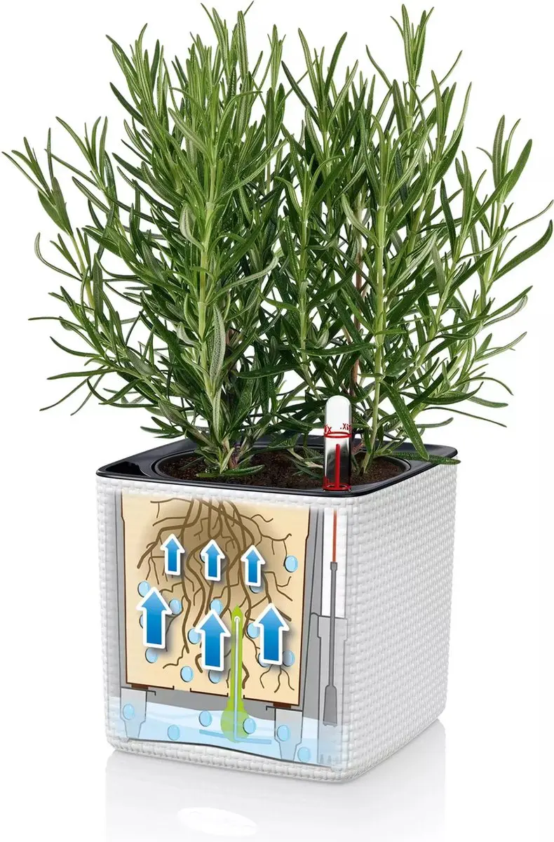 Lechuza CUBE Color Green Wall Home Kit - Leisteengrijs - afbeelding 3 van 6