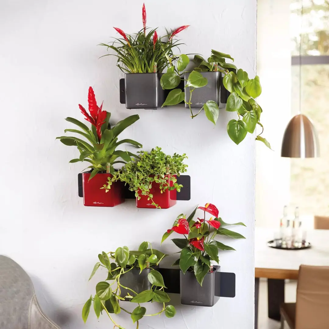 Lechuza Green Wall Home Kit 14 Plantenbak - Antraciet - afbeelding 6 van 6