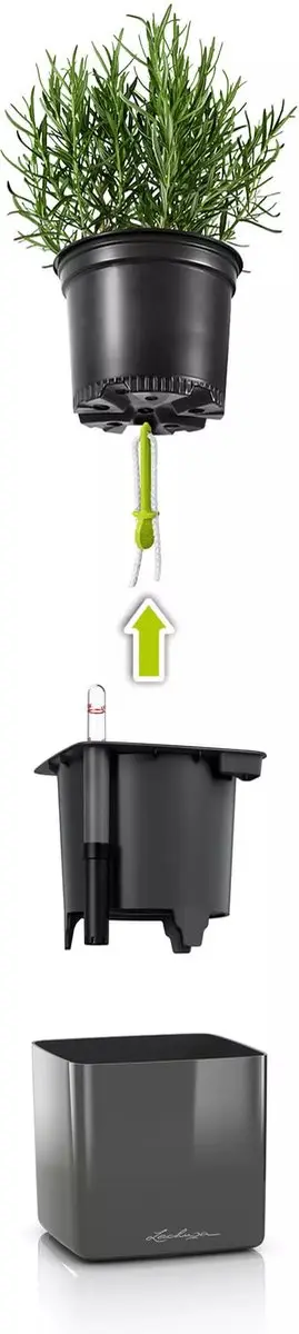 Lechuza Green Wall Home Kit 14 Plantenbak - Antraciet - afbeelding 4 van 6
