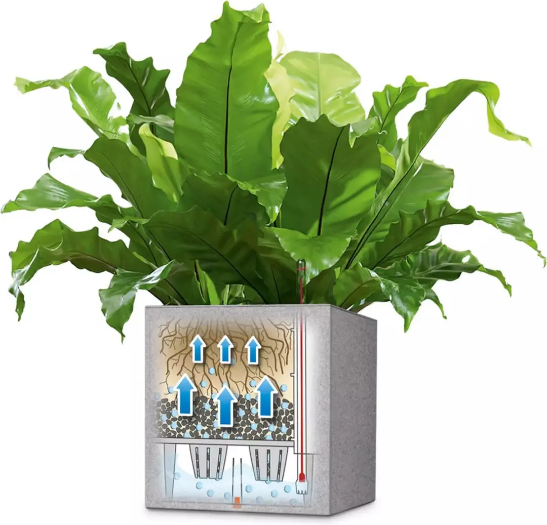 Lechuza Canto Stone 30 Low Plantenbak - 12 l - Kwarts Wit - afbeelding 4 van 6