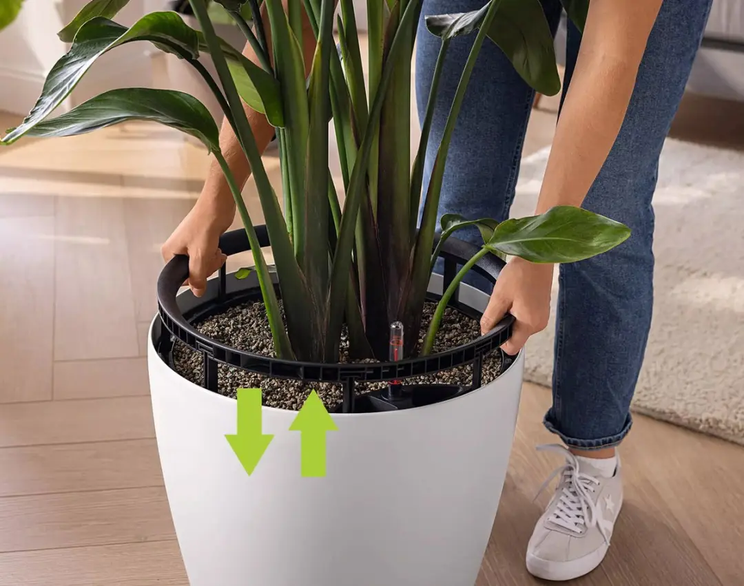 Lechuza Classico Color Plantenbak 22cm - 3L - Zandbruin - afbeelding 5 van 6