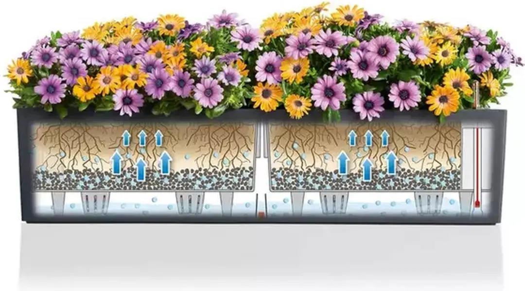 Lechuza Balconera Color 80 Plantenbak - 12L - Muskaat - afbeelding 5 van 6