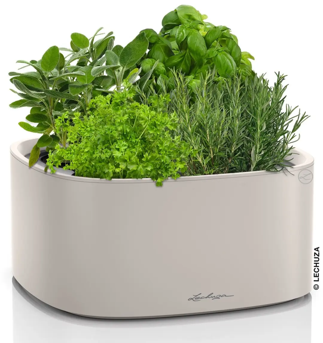 Lechuza PILA Color Stick Plantenbak 35cm - Zandbruin - afbeelding 2 van 6