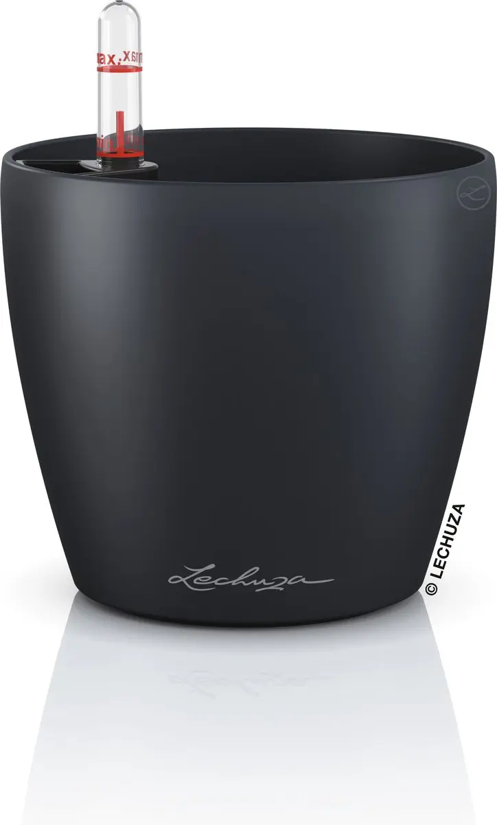 LECHUZA CLASSICO Color 12