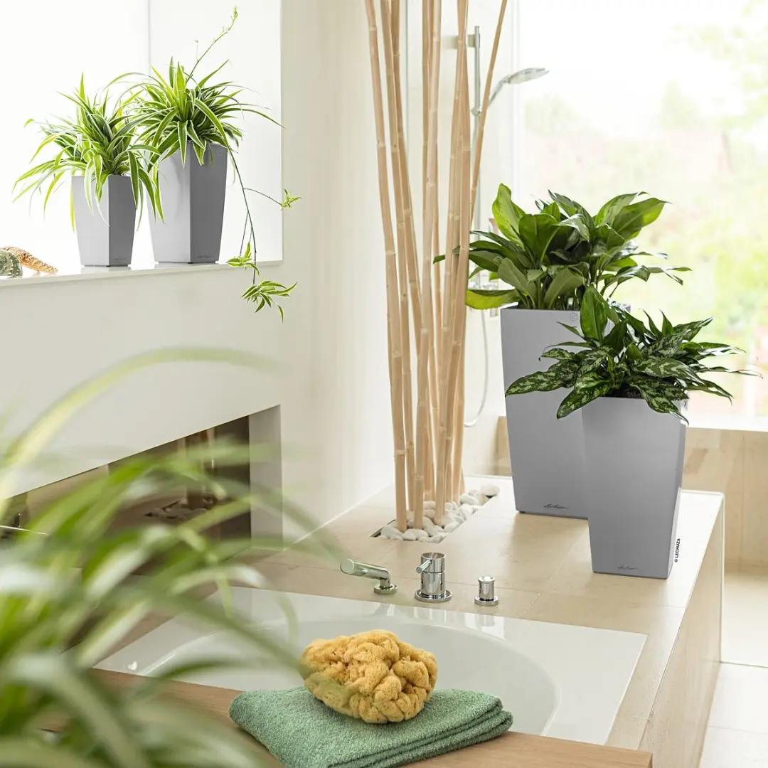 Lechuza Cubico Premium 30 Plantenbak - 14 l - Zilver - afbeelding 2 van 6