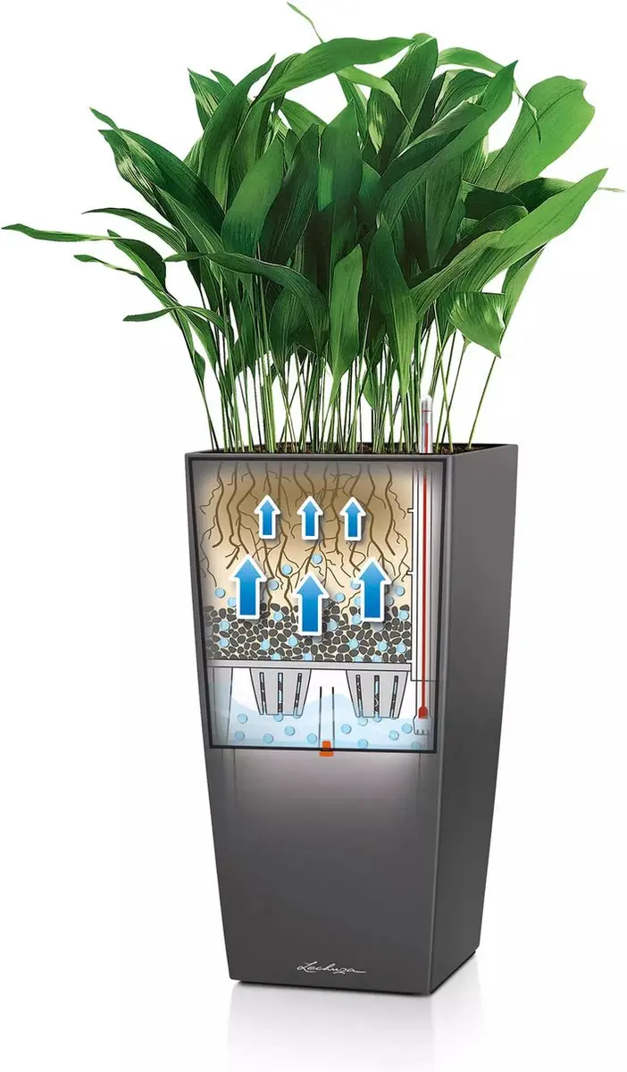 Lechuza Cubico Premium 40 Plantenbak 31l - Scharlakenrood - afbeelding 5 van 6