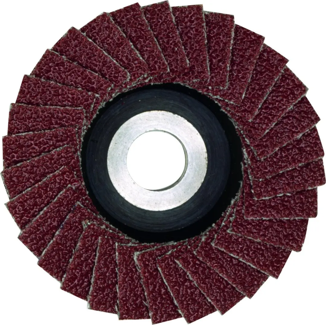 Proxxon Micromot 28 590 Lamellenschijf Ø50mm K100