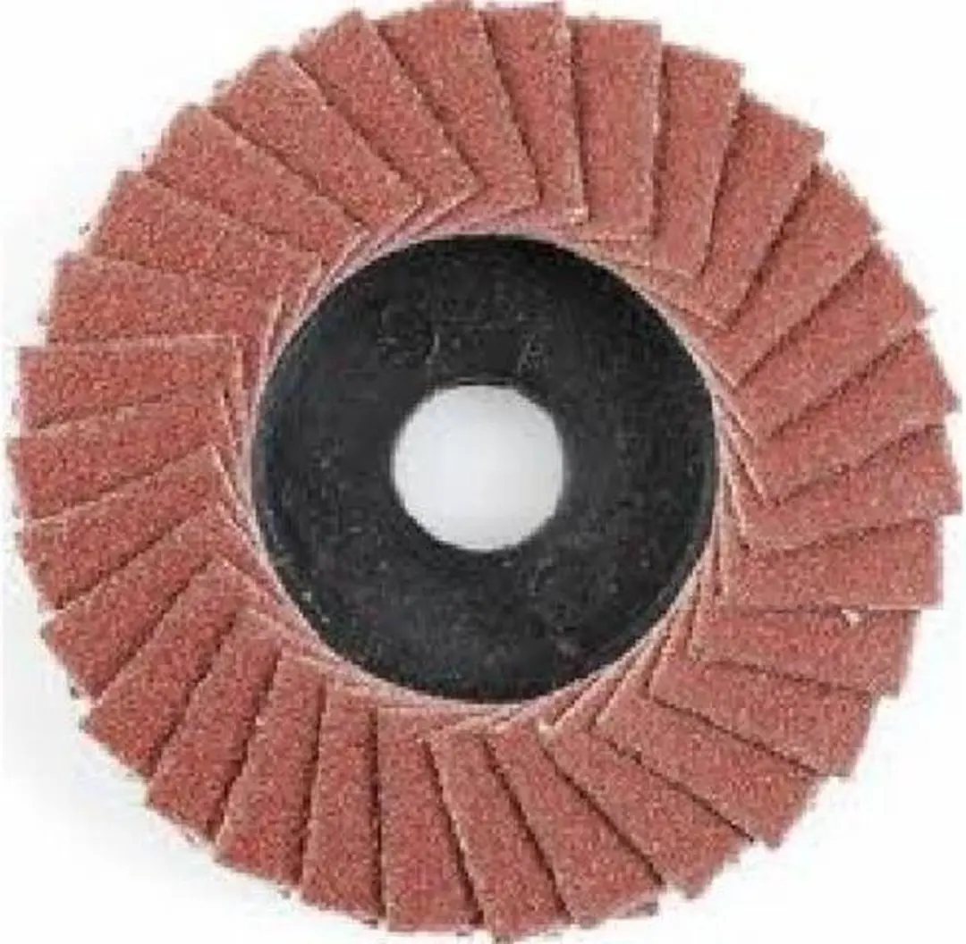 Proxxon Micromot 28 590 Lamellenschijf Ø50mm K100 - afbeelding 3 van 4