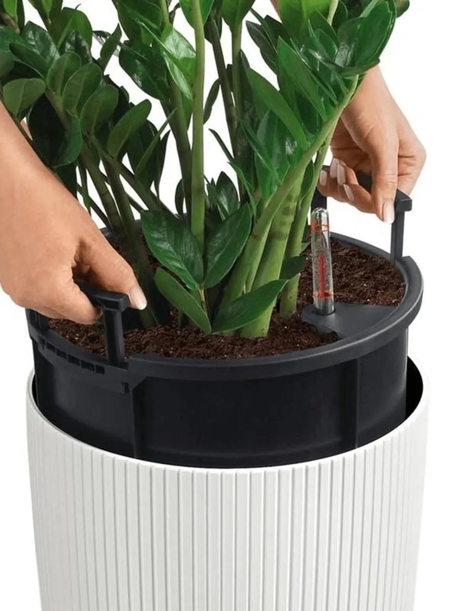 Lechuza Cilindro Color 32 Plantenbak - 13 l - Wit - afbeelding 3 van 6