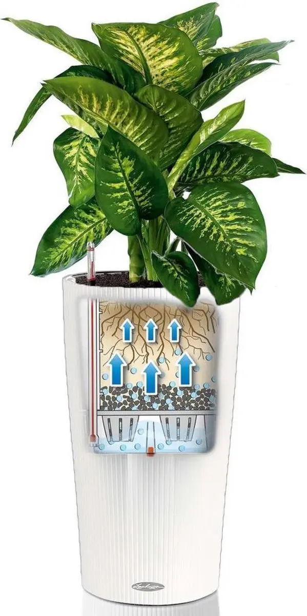 Lechuza Cilindro Color 32 Plantenbak - 13 l - Wit - afbeelding 6 van 6