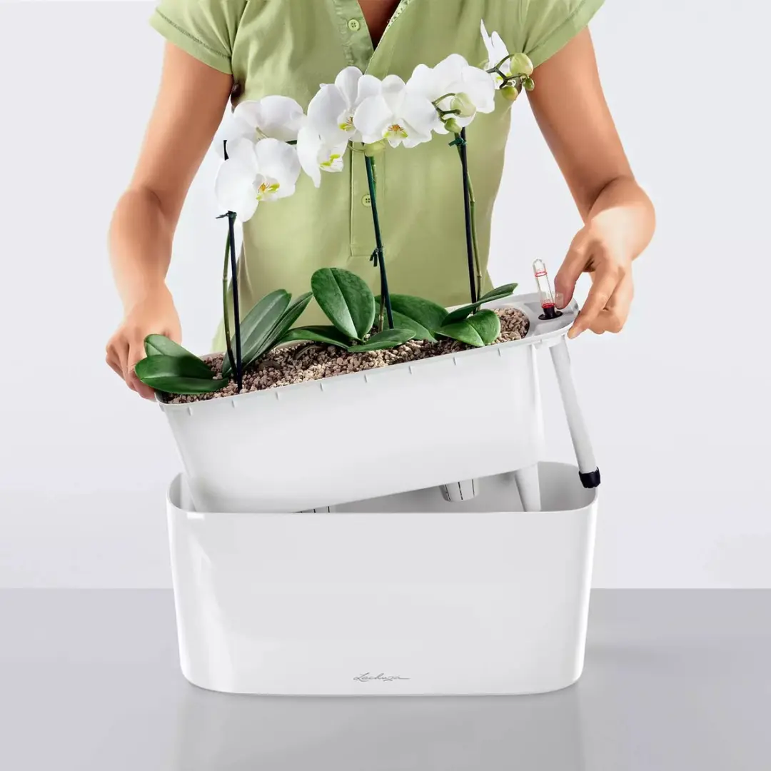 Lechuza Delta Premium 20 Plantenbak - Hoogglans Wit - afbeelding 4 van 6