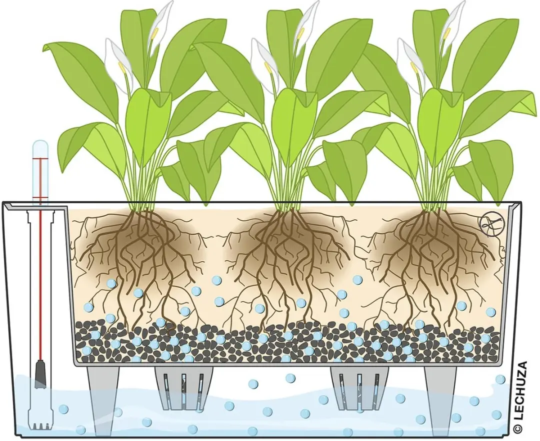 Lechuza Delta Premium 20 Plantenbak - Hoogglans Wit - afbeelding 2 van 6