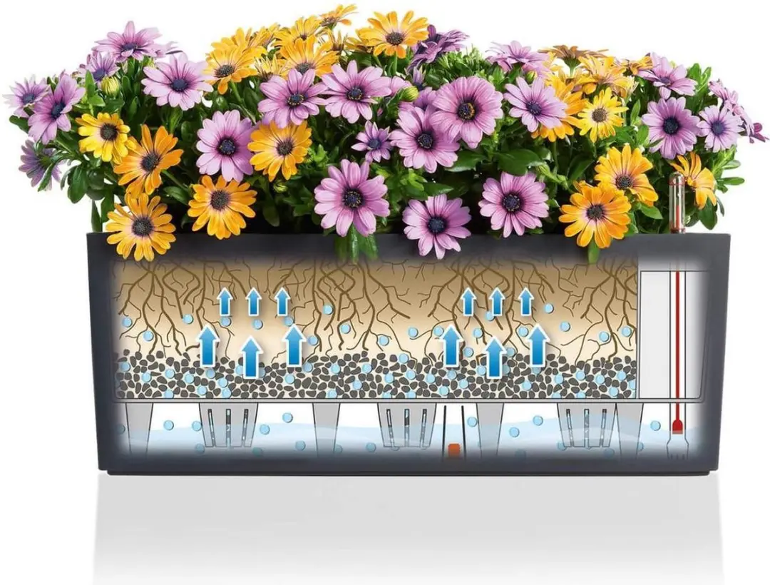 Lechuza Balconera Color 50 Plantenbak - Muskaat - afbeelding 6 van 6