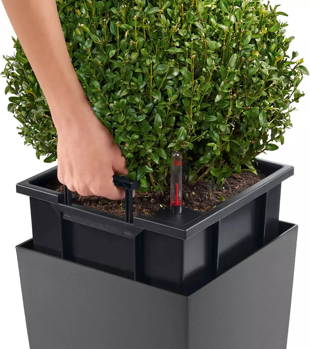 Lechuza Cubico Premium 30 Plantenbak - 14l - Zwart Hoogglans - afbeelding 3 van 6