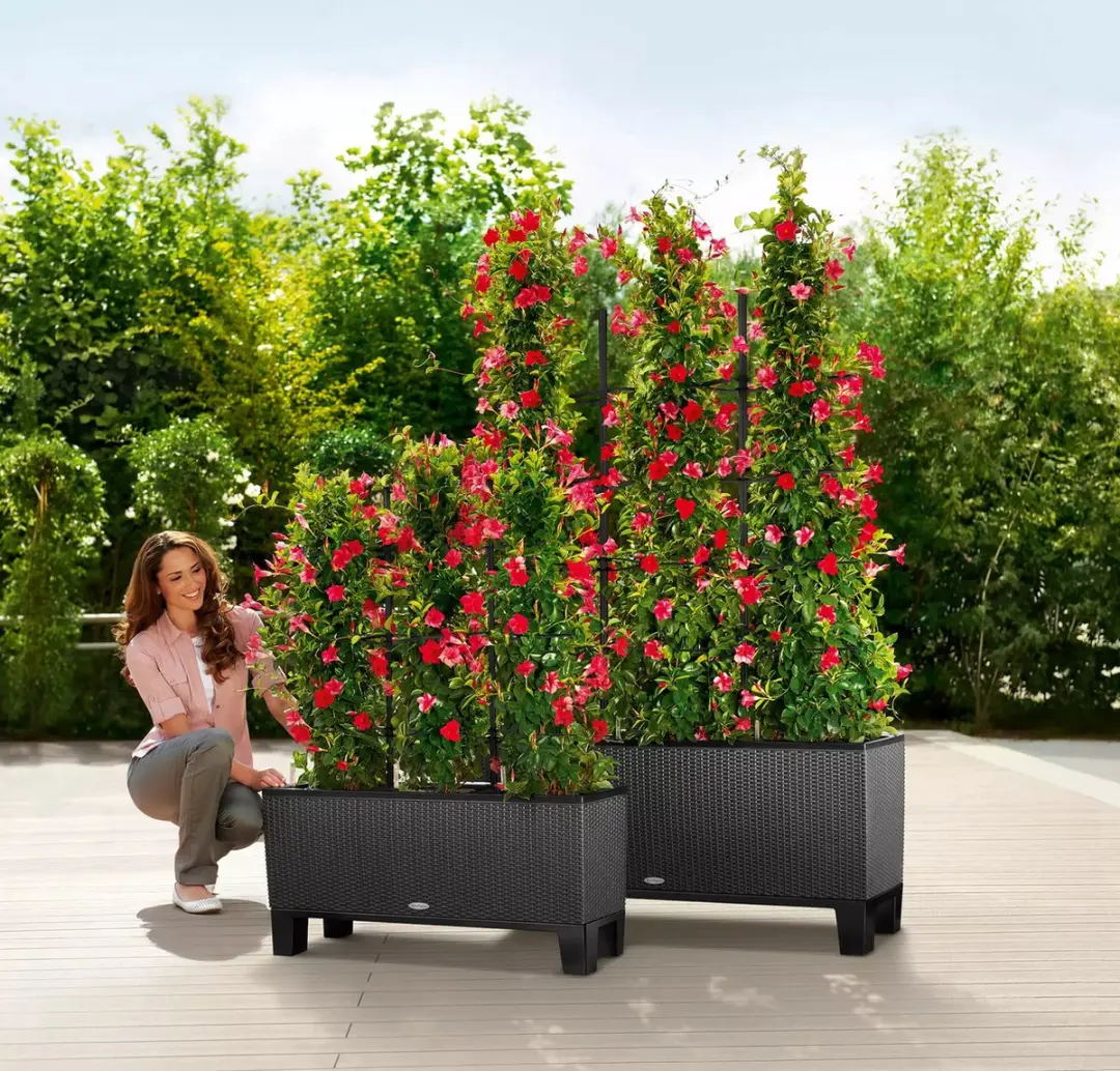 Lechuza Trio Cottage 30 Plantenbak - 42l - Lichtgrijs - afbeelding 6 van 6