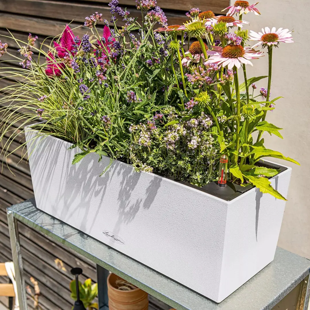 Lechuza Balconera Stone 50 Plantenbak - Steengrijs - afbeelding 5 van 6