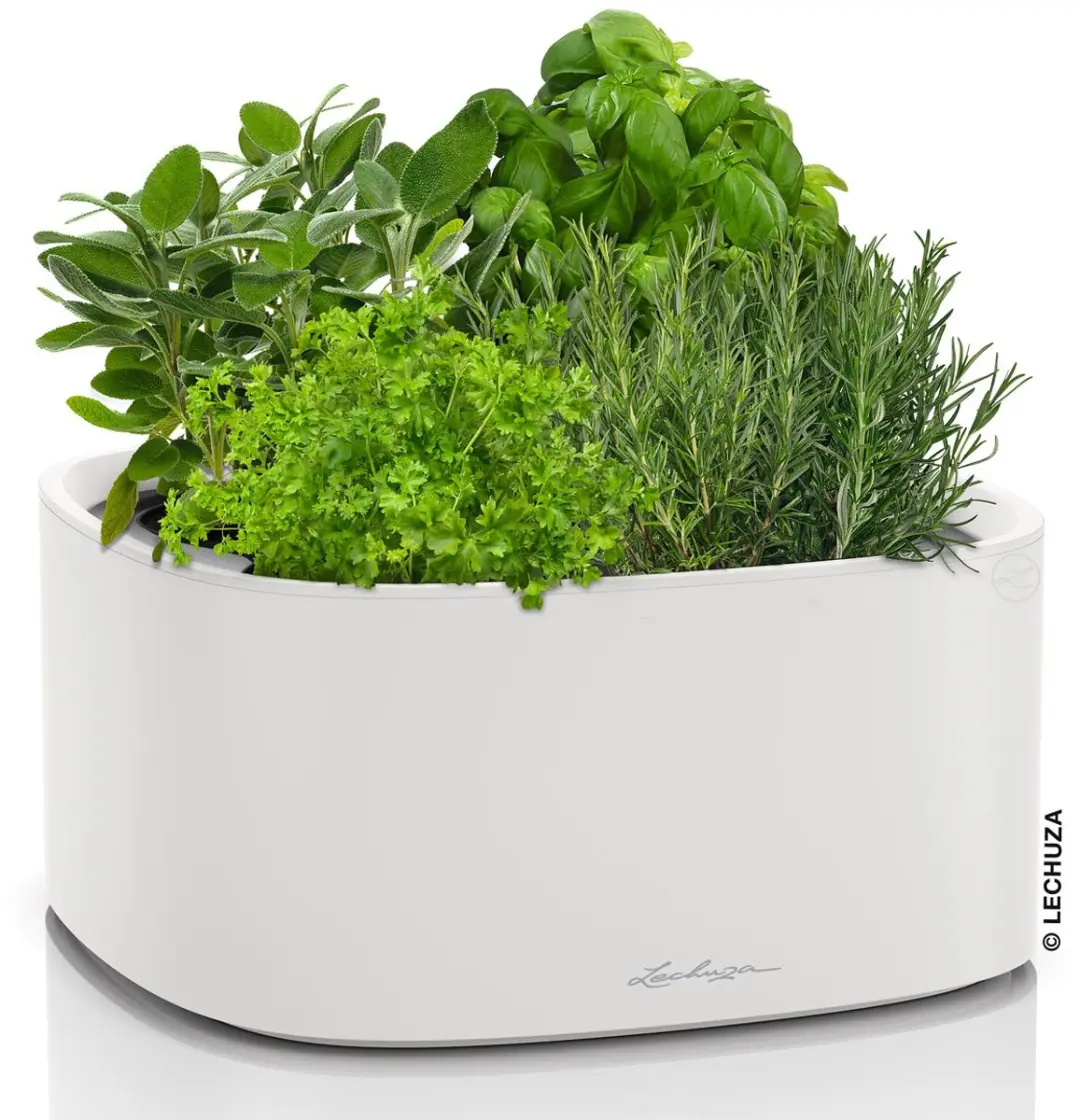 Lechuza PILA Color STICK Plantenbak 35cm - Lichtgrijs - afbeelding 2 van 6