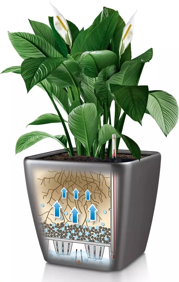 Lechuza Quadro Premium LS 35 Plantenbak - 17L - Zwart - afbeelding 4 van 6