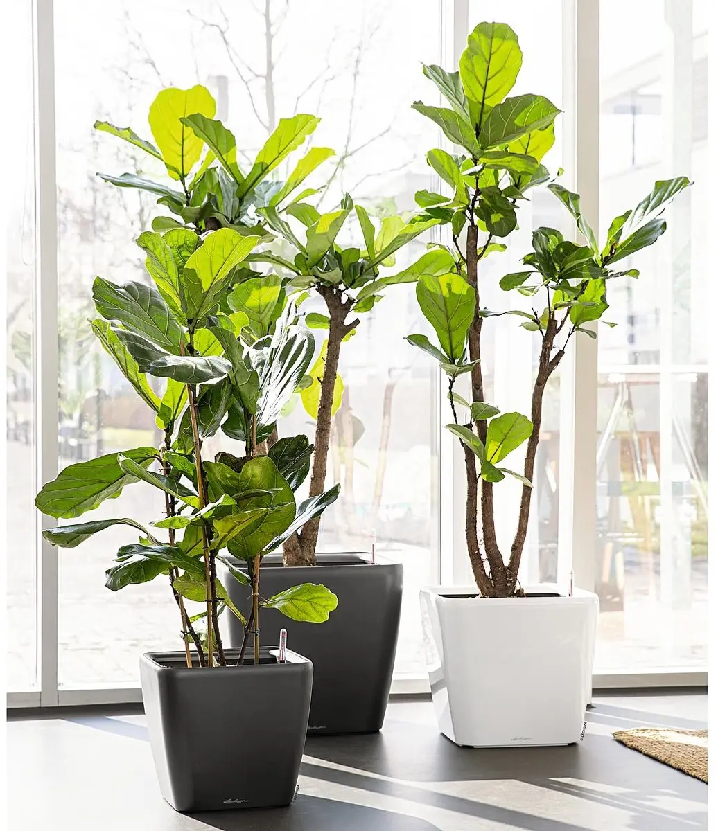 Lechuza Quadro LS 43 Plantenbak - 32L - Antraciet - afbeelding 2 van 6