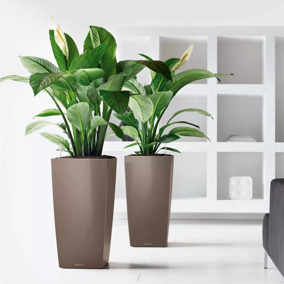 Lechuza Cubico Premium 50 Plantenbak - 61 l - Antraciet - afbeelding 6 van 6