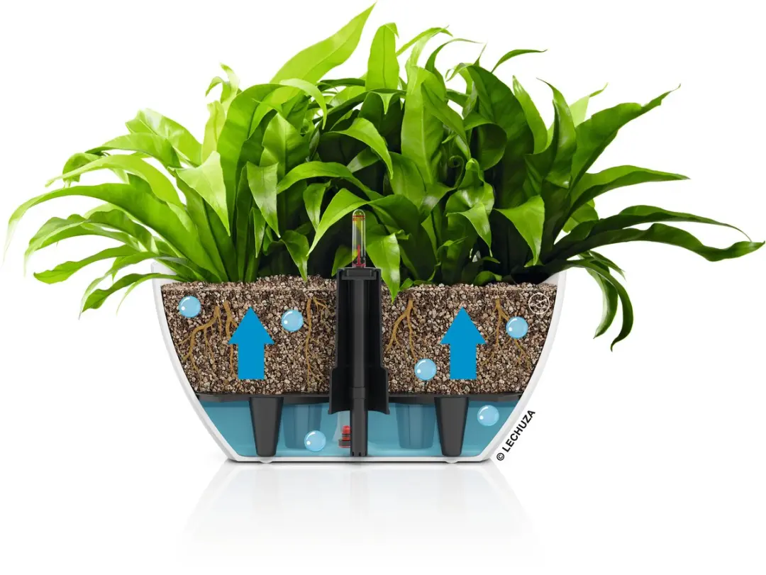 Lechuza NAVIO Color 10 Plantenbak - Wit - afbeelding 2 van 6