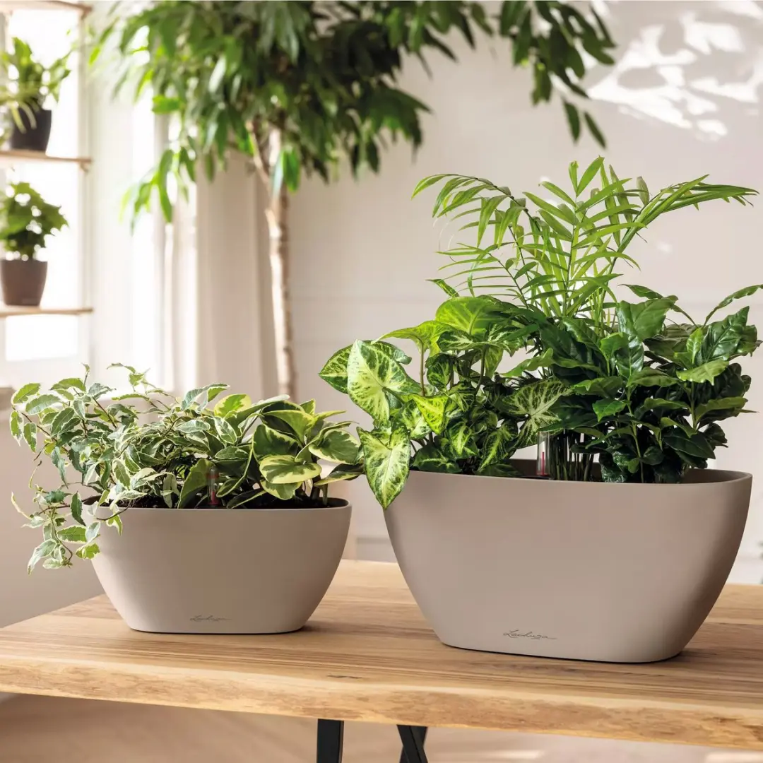 Lechuza NAVIO Color 10 Plantenbak - Wit - afbeelding 6 van 6