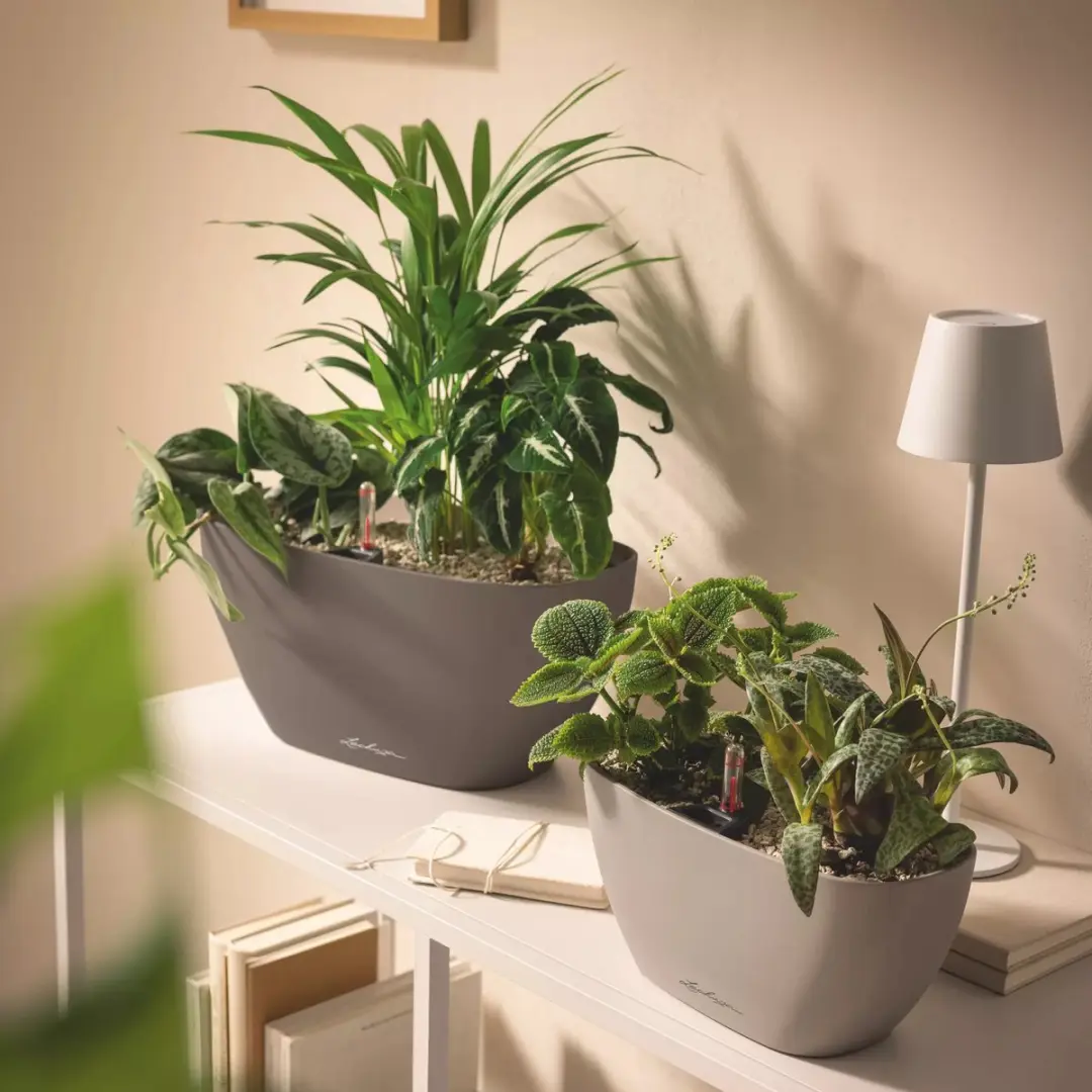 Lechuza NAVIO Color 10 Plantenbak - Wit - afbeelding 5 van 6
