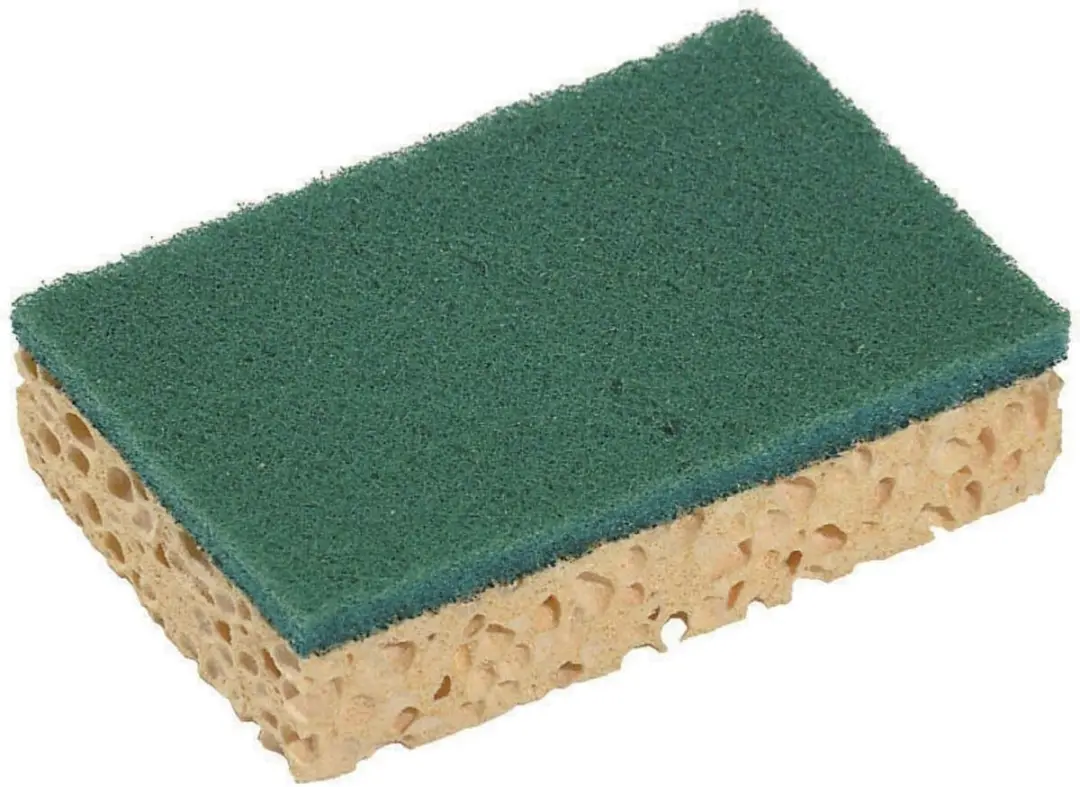 SPONTEX Schuurspons