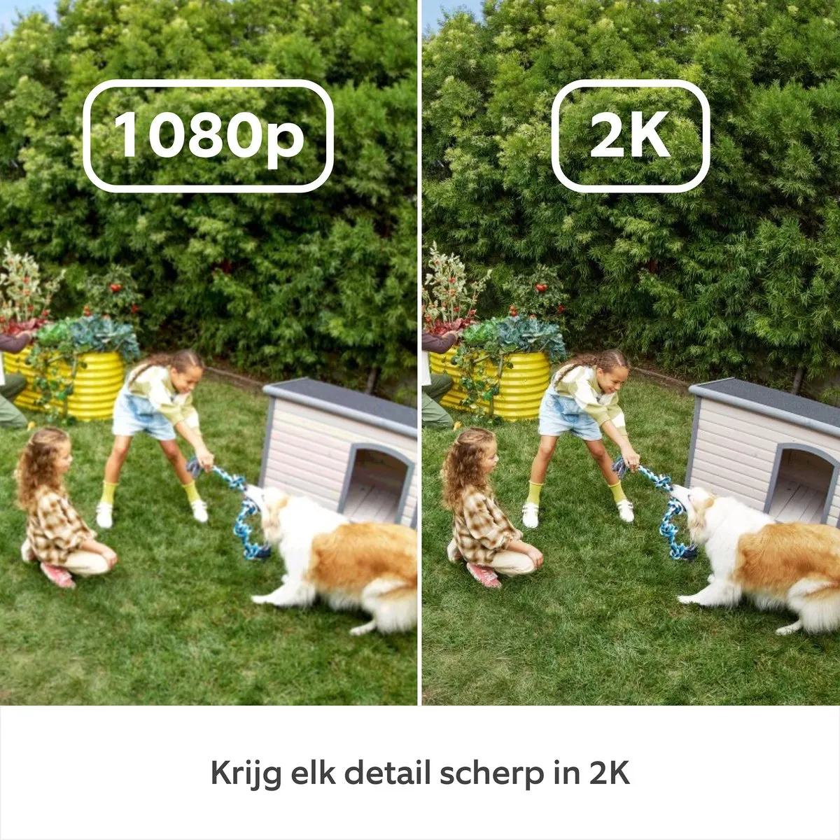 Ring Outdoor Camera Plus - batterij - zwart - buitencamera - 2k