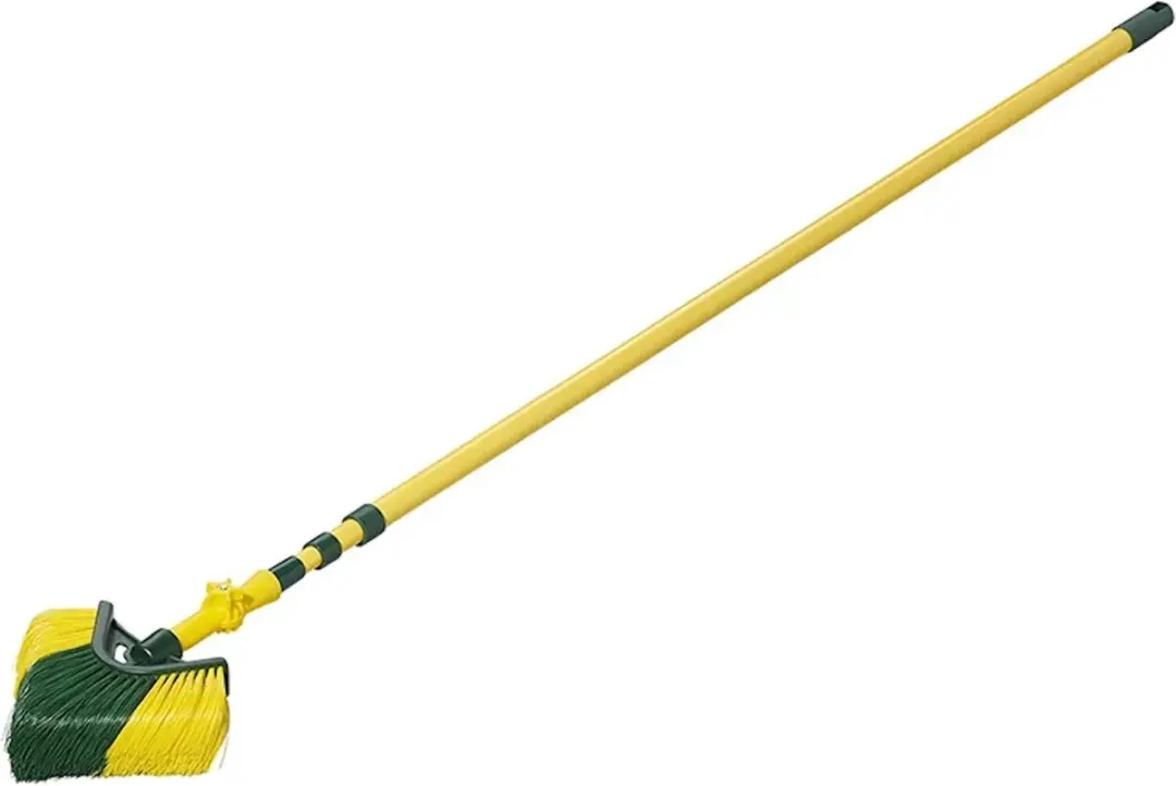 ProPlus Telescopische Spinnenwebborstel