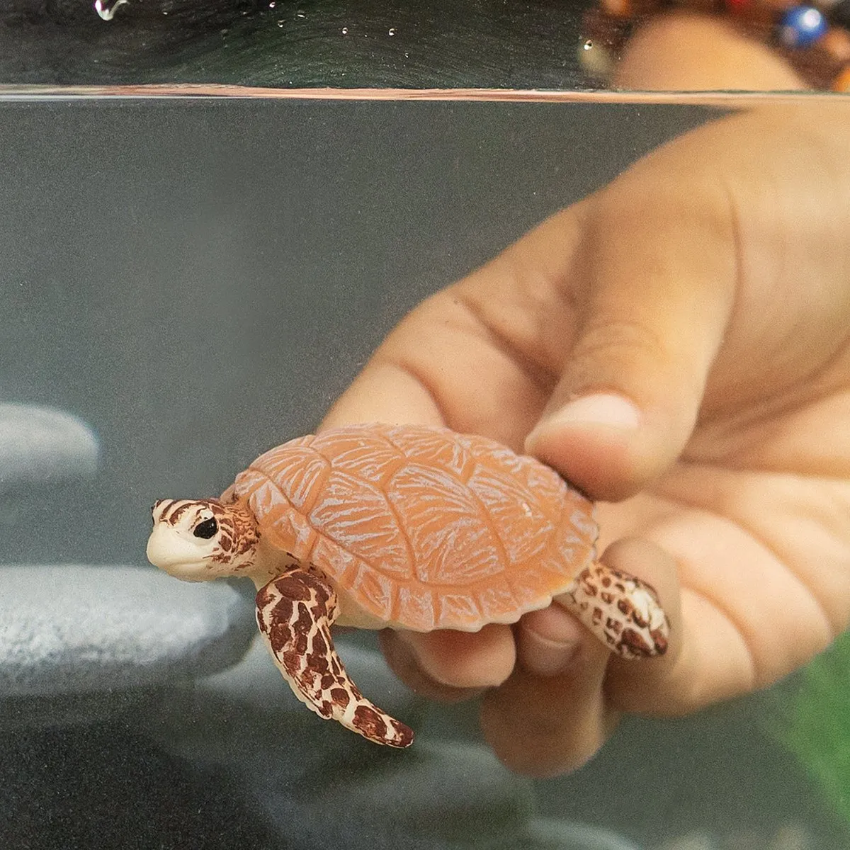 Schleich WILD LIFE Karetschildpad 14876 - Rood/Bruin