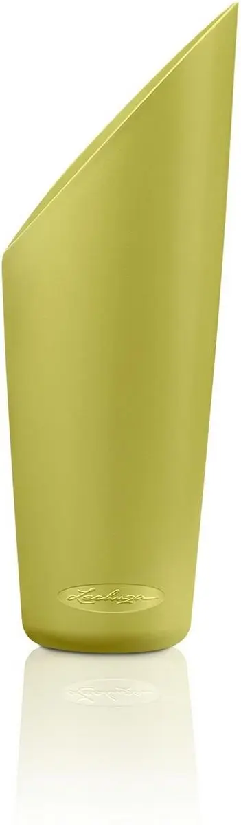 Lechuza