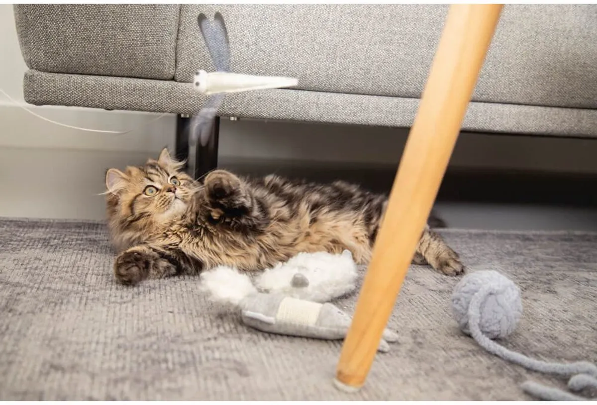 Beeztees Kitten Bal met Koord