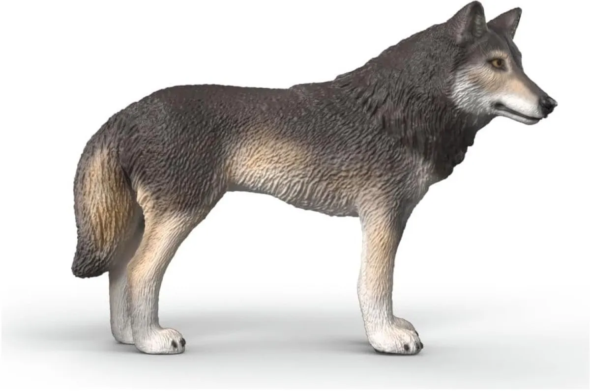 Schleich Wild Life Amerikaanse Wolf 14991 - Meerkleurig - afbeelding 6 van 6