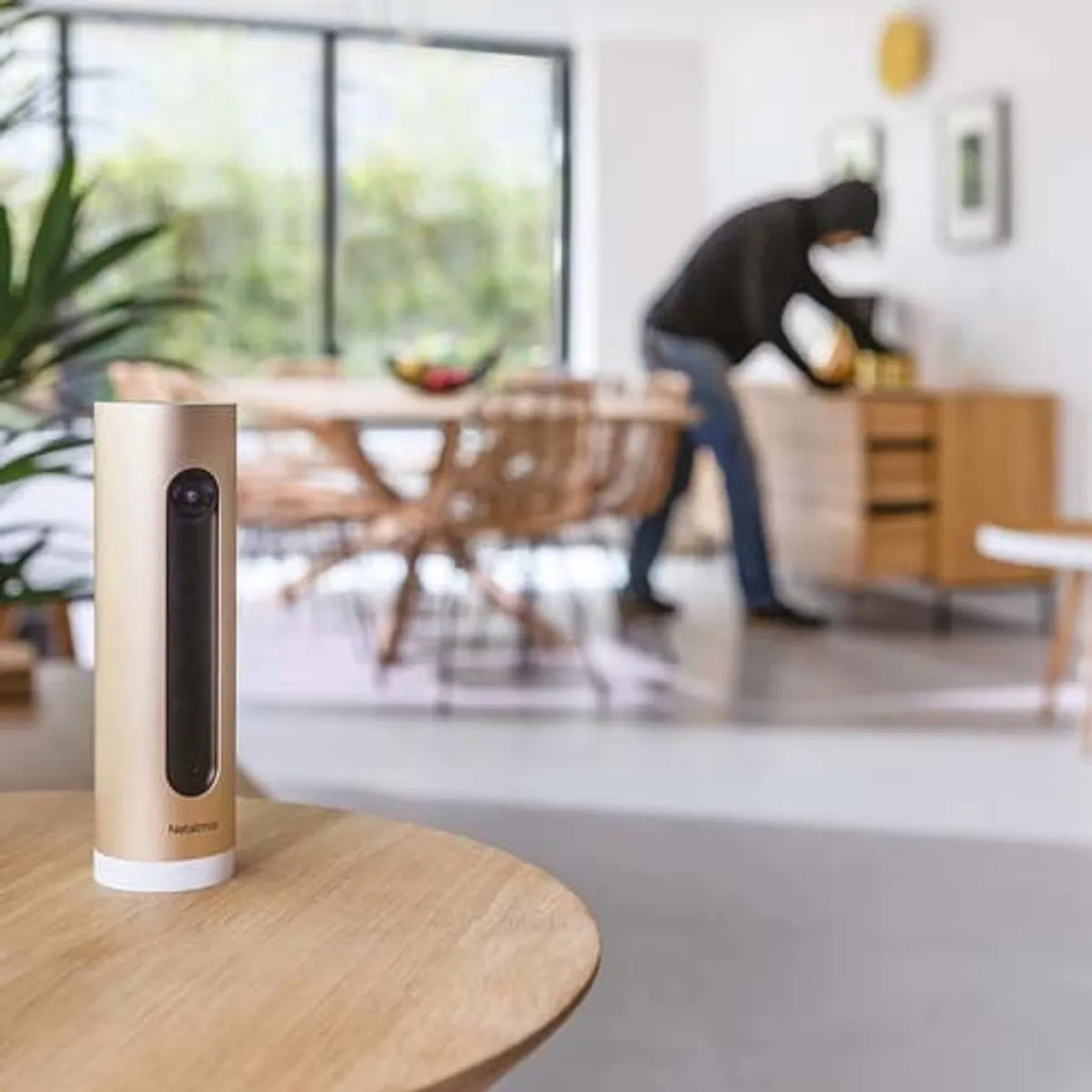 Netatmo NSC01-EU Slimme Binnencamera - Bewegingsdetectie - afbeelding 6 van 6
