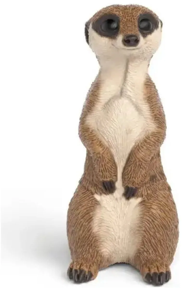 Schleich Wild Life Stokstaartje 14935 - Meerkleurig