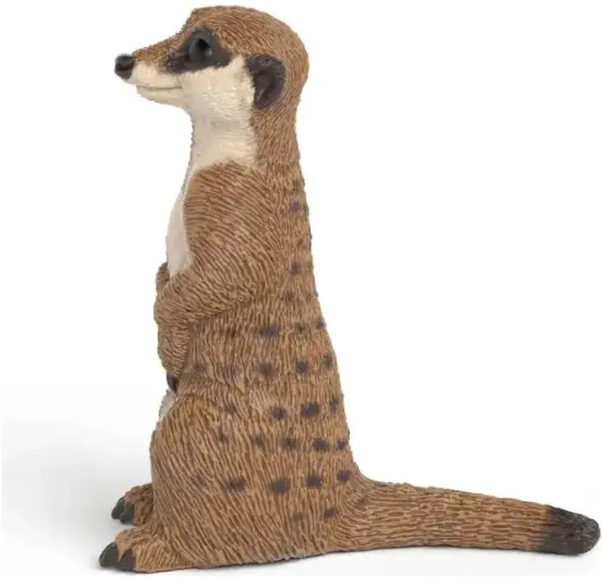 Schleich Wild Life Stokstaartje 14935 - Meerkleurig