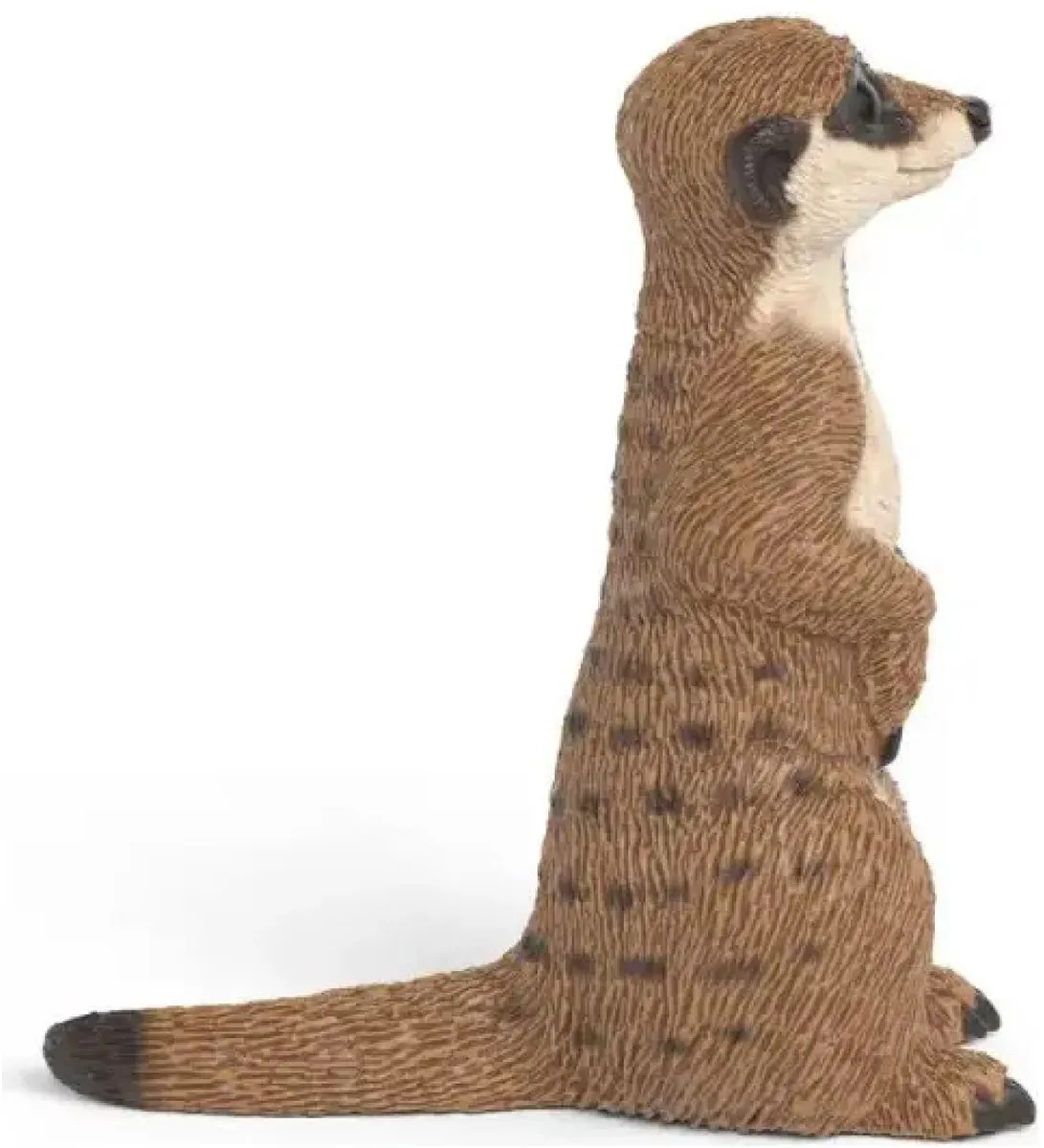 Schleich Wild Life Stokstaartje 14935 - Meerkleurig