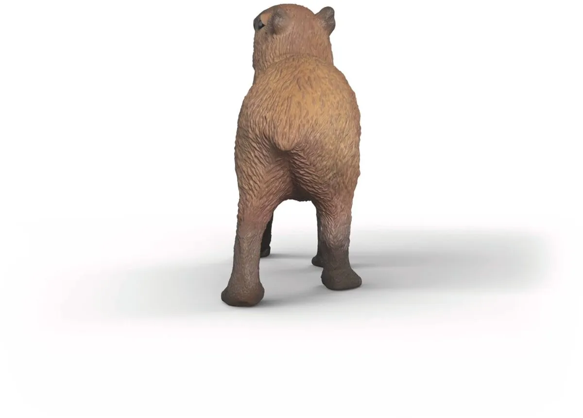 Schleich Wild Life Capibara 14934 - Meerkleurig