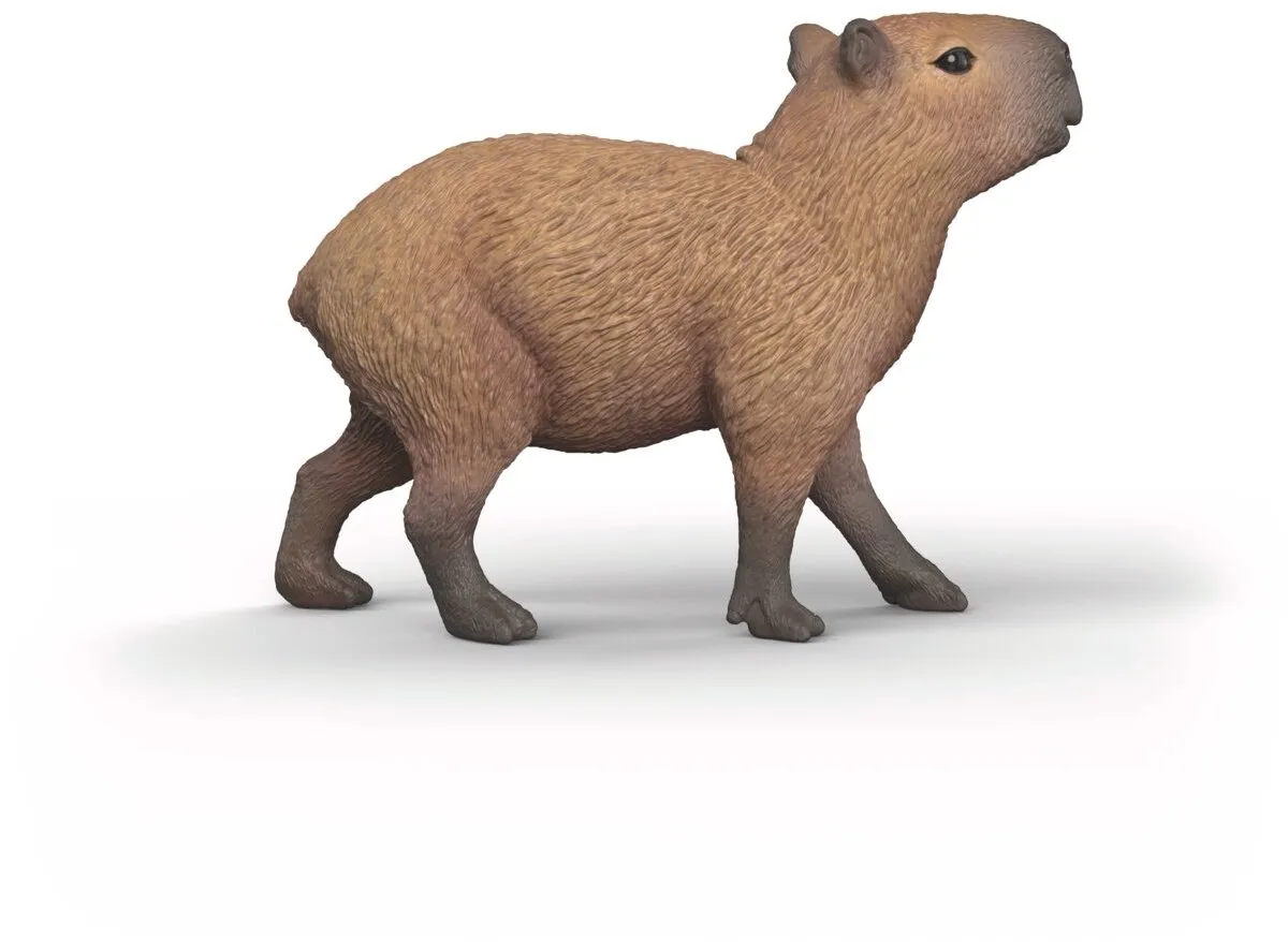 Schleich Wild Life Capibara 14934 - Meerkleurig - afbeelding 6 van 6
