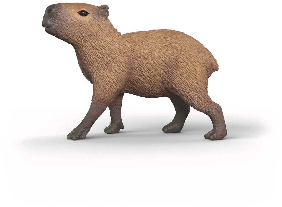 Schleich Wild Life Capibara 14934 - Meerkleurig