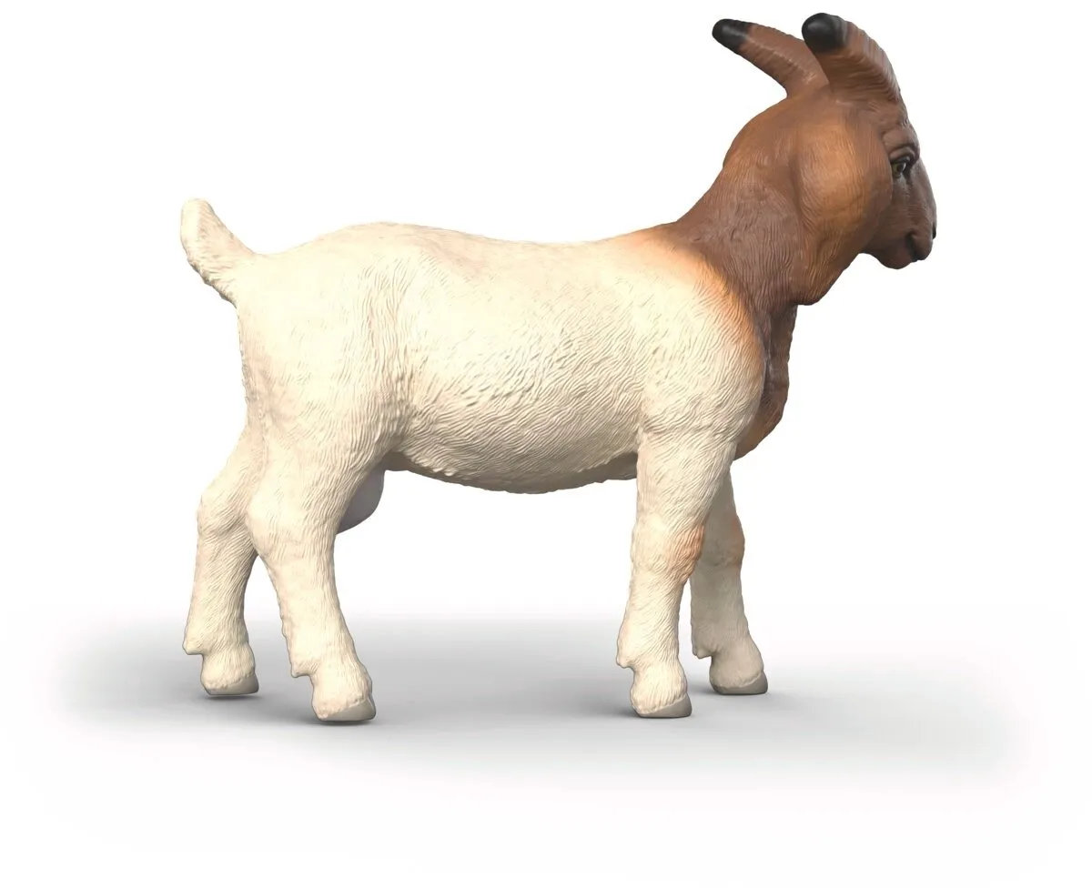 Schleich Farm World Boergeit 14929 - Meerkleurig
